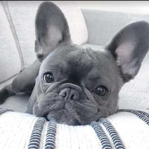 Meet your Posher, Tammy - Picture 1 of 1